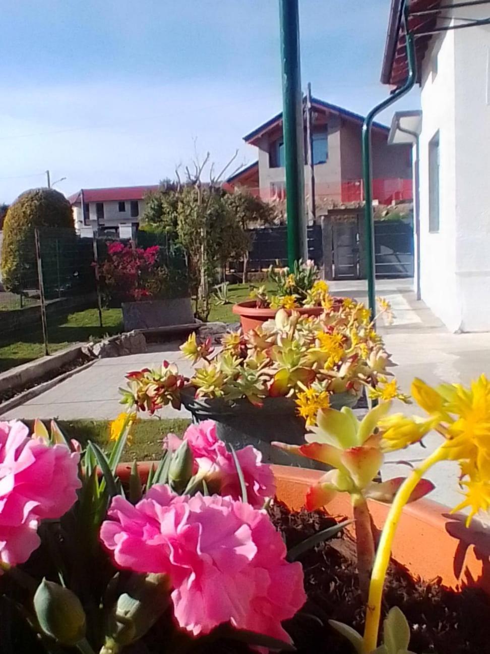 Casa Vacanze Terra Di Mezzo Invorio Inferiore Exteriér fotografie